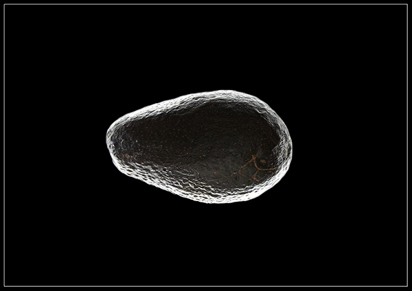 avokado
